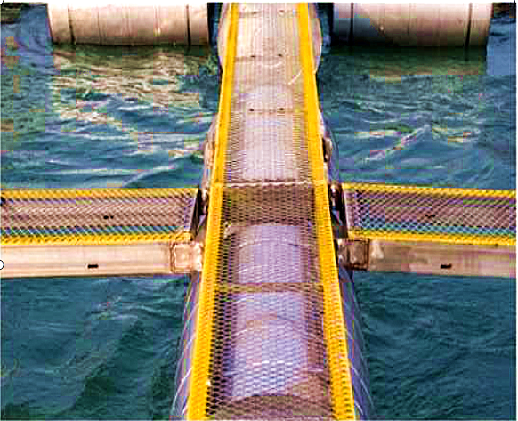 1756979352196420.png ΢ÐÅͼƬ_20250903173822.png