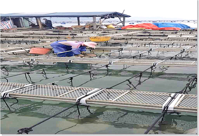 1756979383764195.png ΢ÐÅͼƬ_20250903173822.png